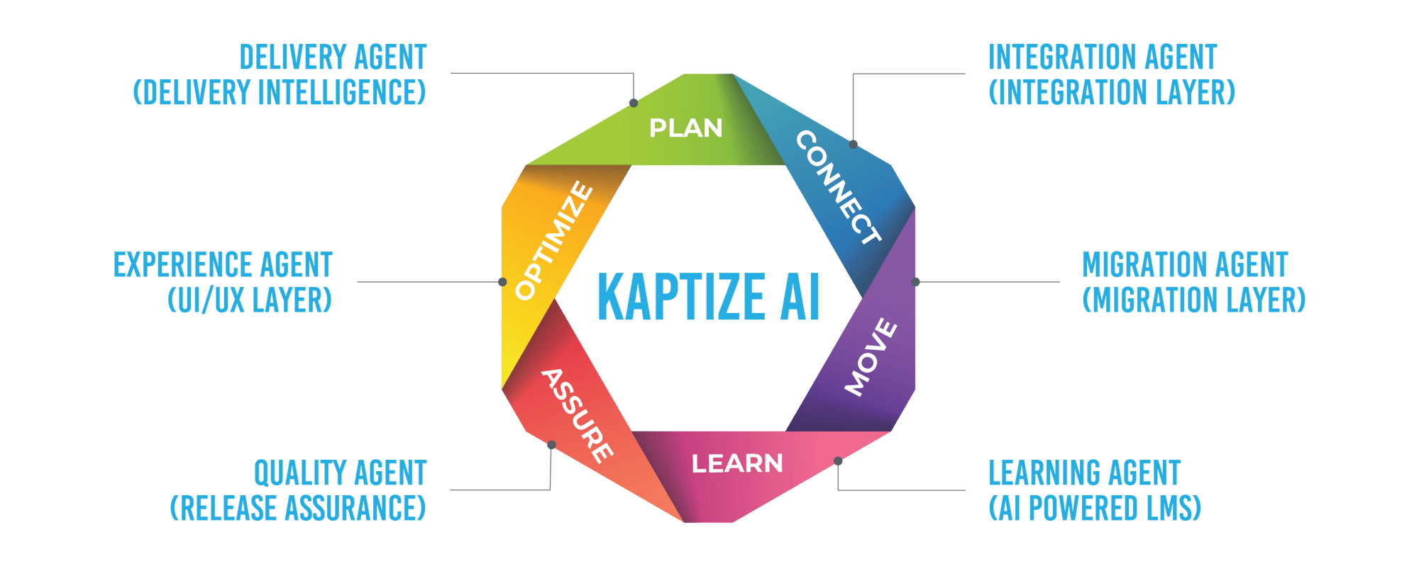 Website Infographic